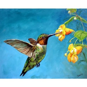 hummingbird flight