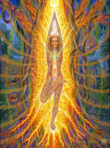 artwork by Alex Grey